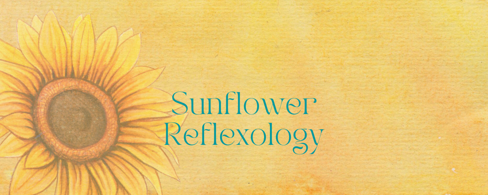 Debbie Wasson – 01239 711296